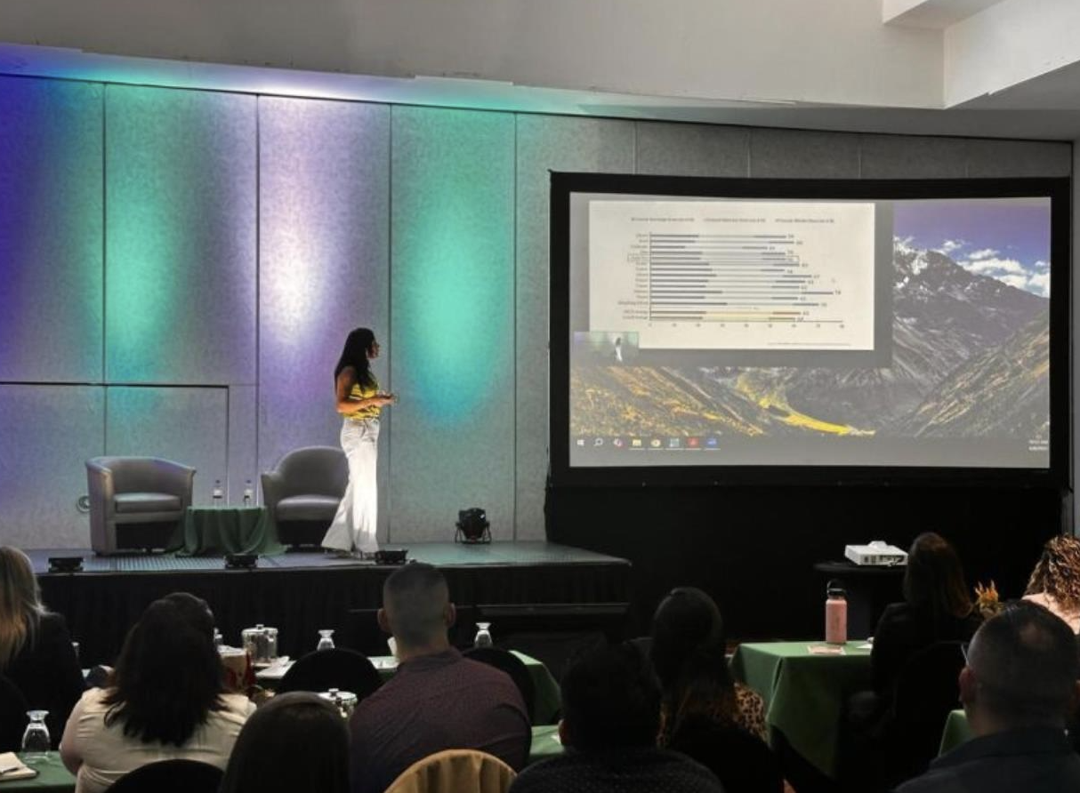 Stacked wooden blocks spelling risk